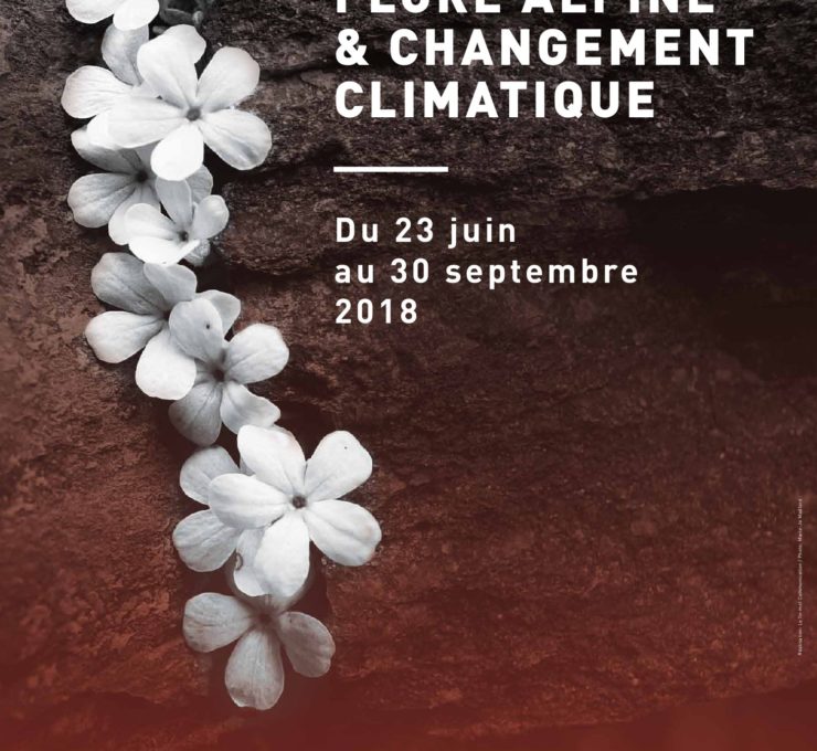 2018 – Flore alpine & Changement climatique