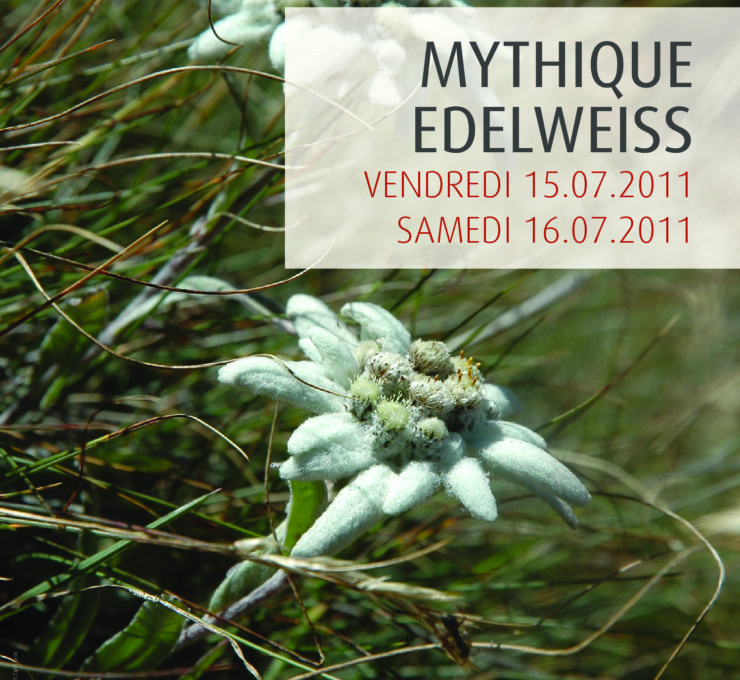 2011 – Colloque & Excursion « Mythique edelweiss »