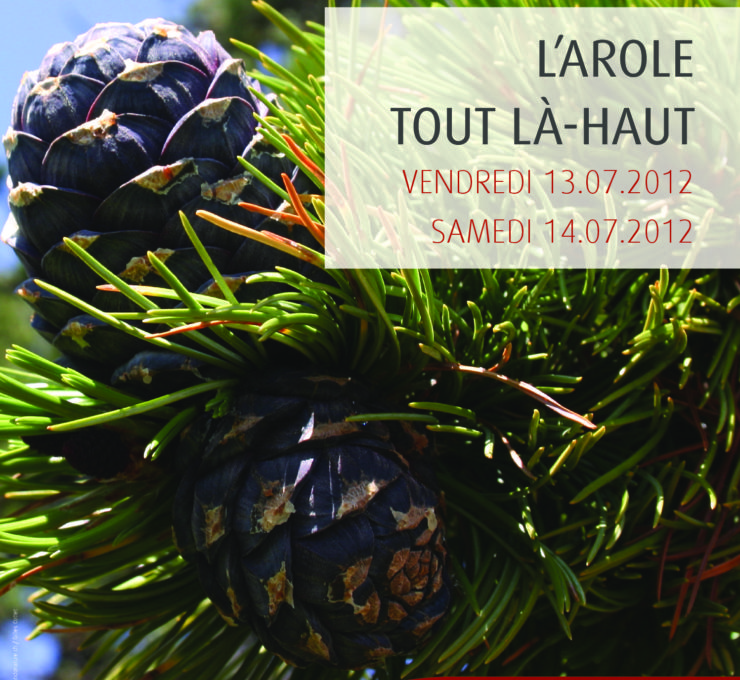 2012 – Colloque & Excursion « L’arole, tout là-haut »